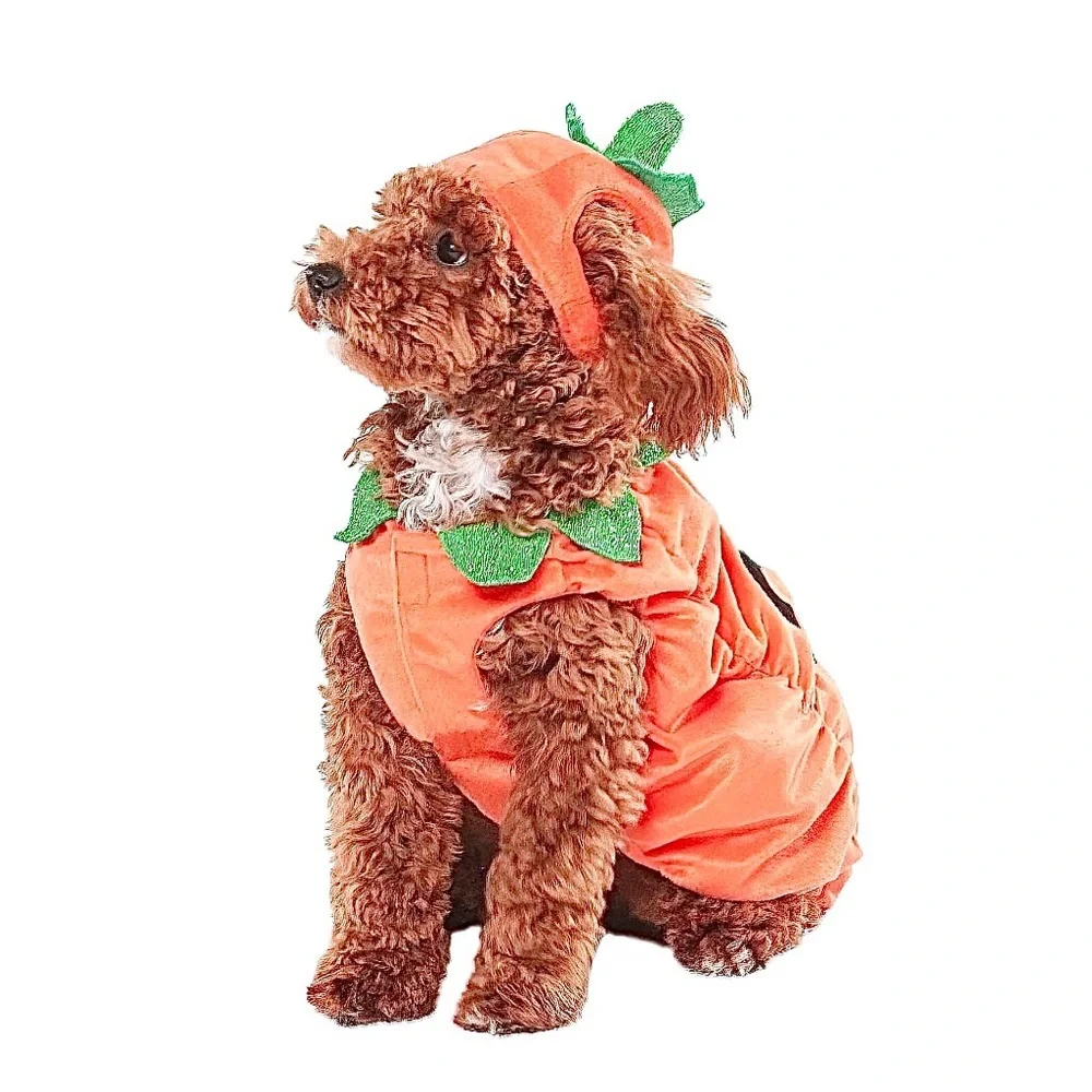 PET JACK-O’-LANTERN COSTUME NWT